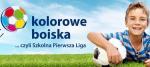 Kolorowe Boiska- zachęcamy do głosowania