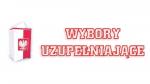 Wybory uzupełniające do Rady Miejskiej